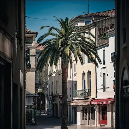 Le Questel In The Heart Of The With Apartment Nimes