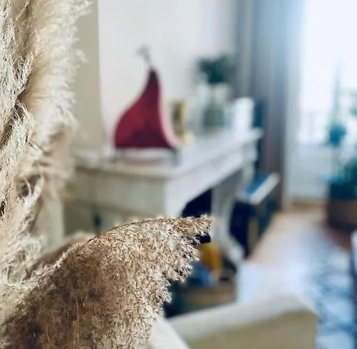 Le Questel Au Coeur De La Cite Romaine Avec Clim