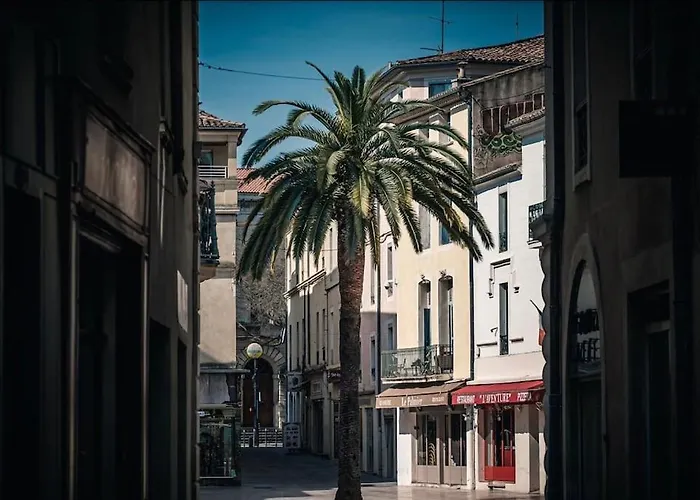 Le Questel Au Cœur De La Cité Romaine Avec Clim Appartement Nîmes
